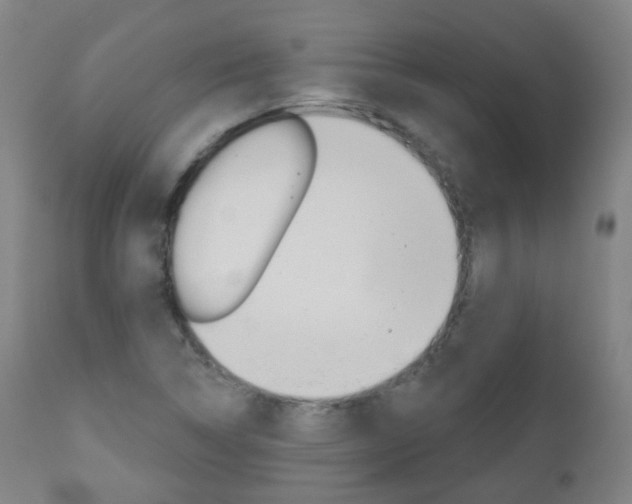 X0000111001314200906191134