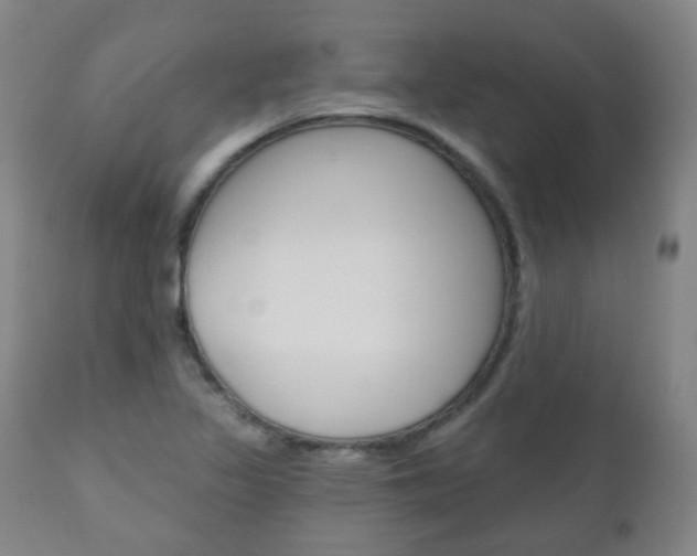 X0000111001317200906191134