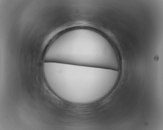 X0000111001318200906191134