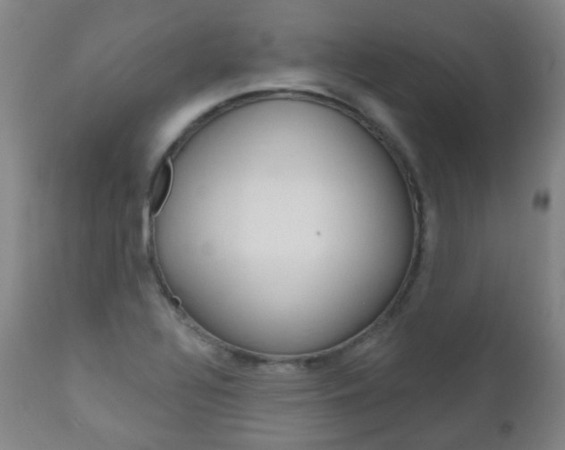 X0000111001320200906191134