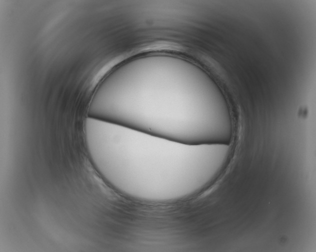 X0000111001321200906191134