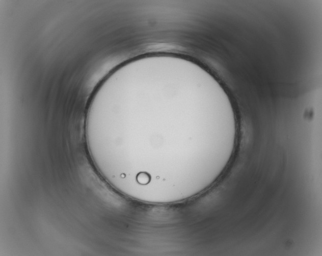 X0000111001322200906191134