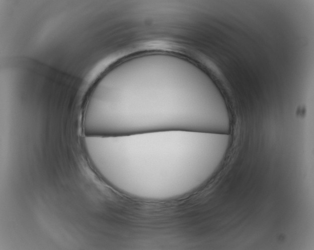 X0000111001323200906191134