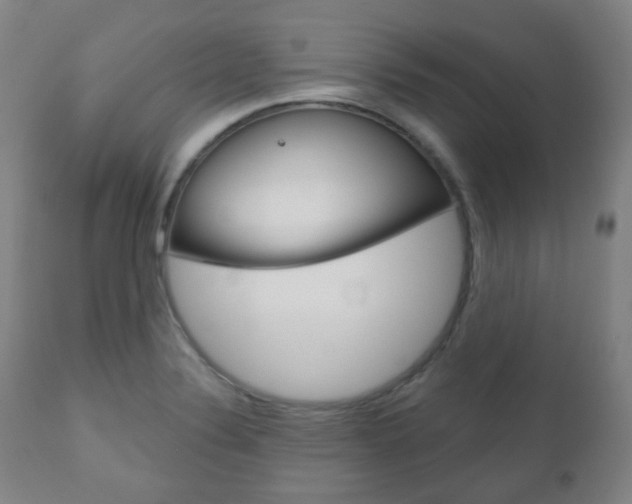 X0000111001324200906191134