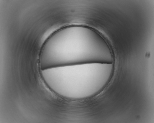 X0000111001325200906191134