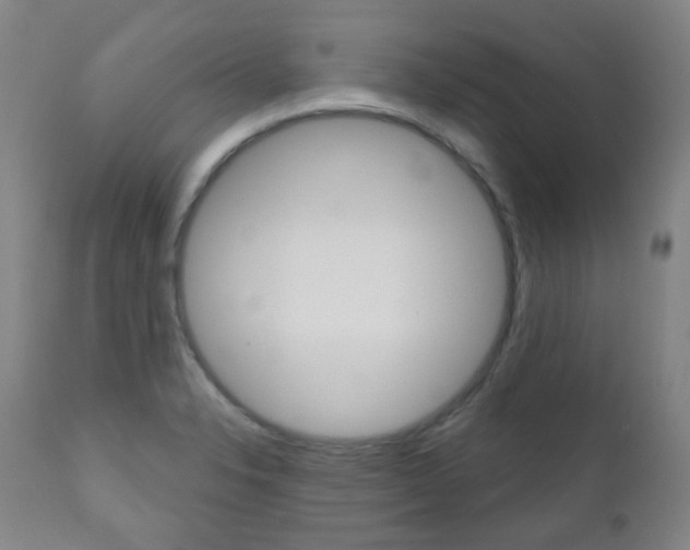 X0000111001326200906191134