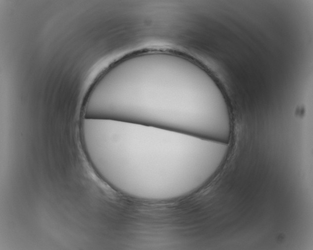 X0000111001327200906191134