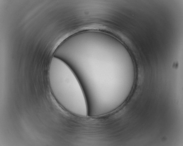 X0000111001329200906191134