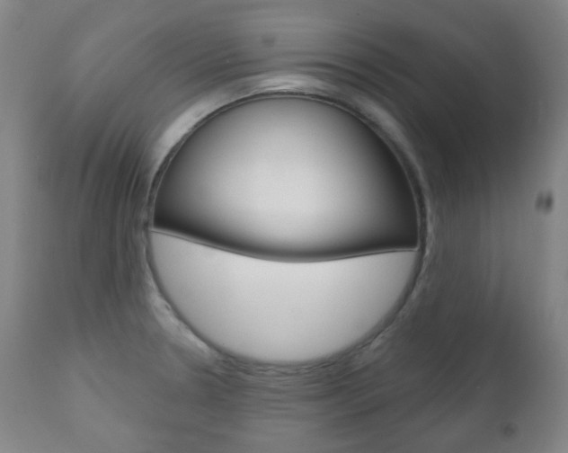 X0000111001330200906191134