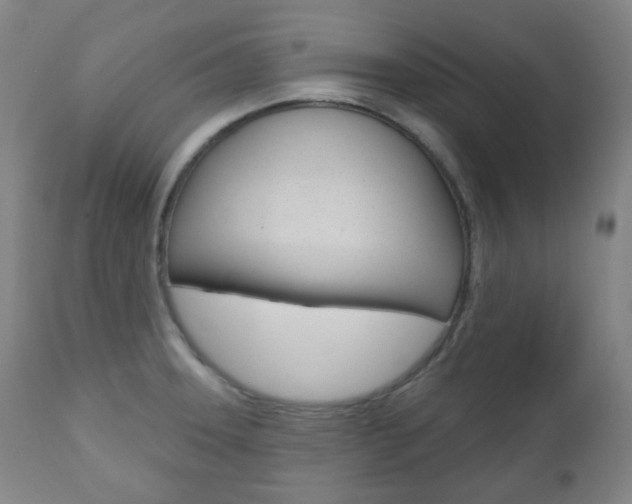 X0000111001331200906191134