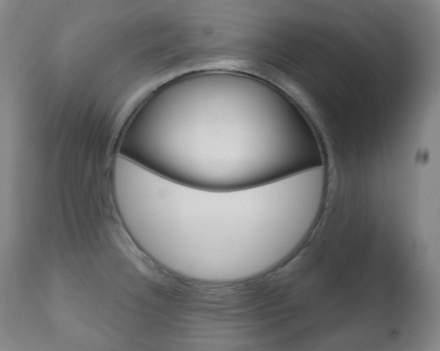 X0000111001332200906191134
