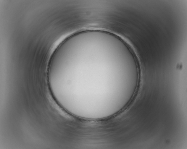X0000111001333200906191134