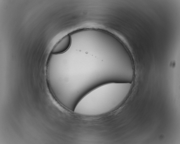 X0000111001335200906191134