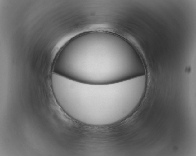 X0000111001336200906191134