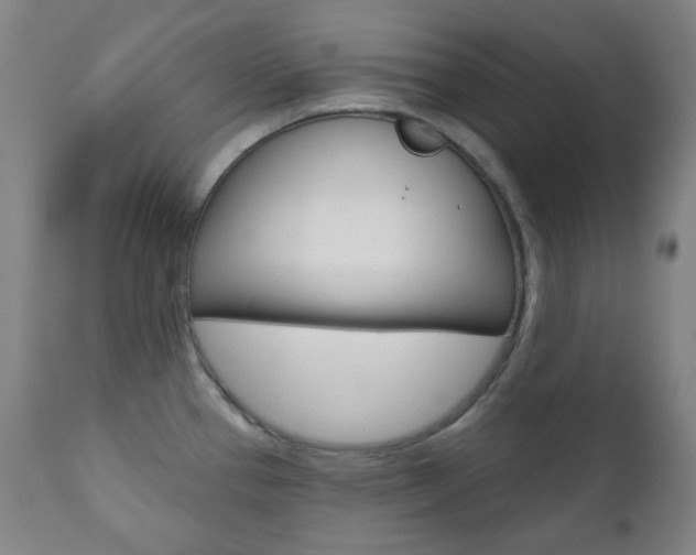 X0000111001337200906191134