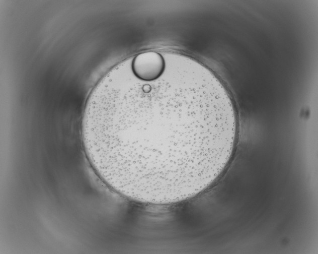 X0000111001338200906191134