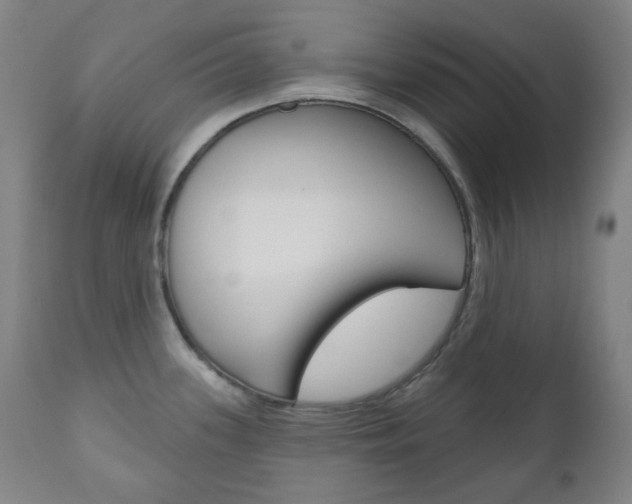 X0000111001339200906191134