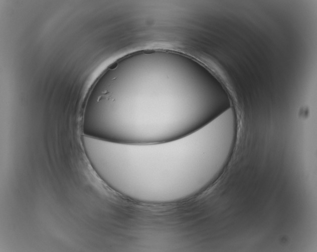 X0000111001340200906191134