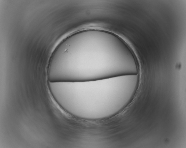 X0000111001341200906191134
