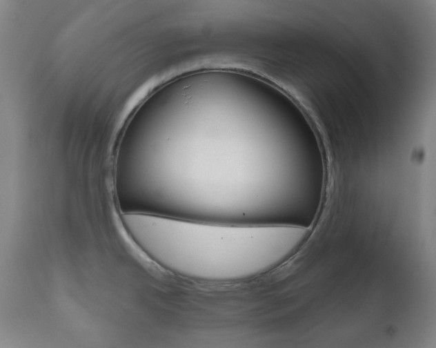 X0000111001342200906191134