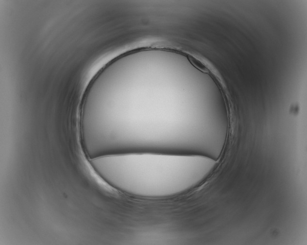 X0000111001343200906191134