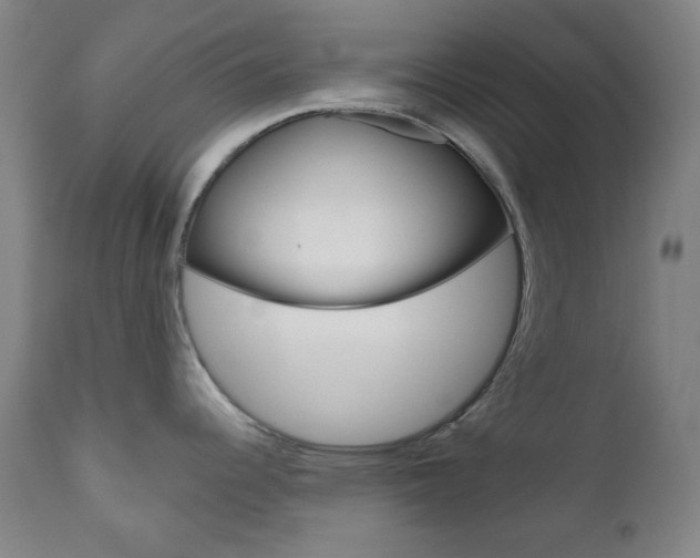 X0000111001344200906191134