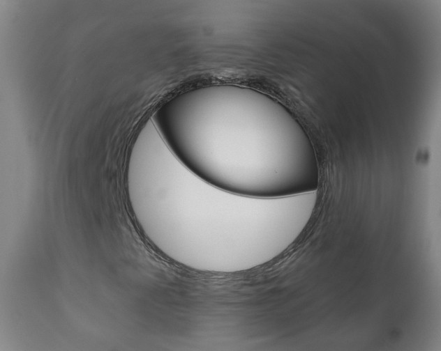 X0000111001345200906191134
