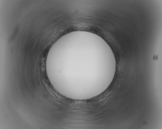 X0000111001346200906191133