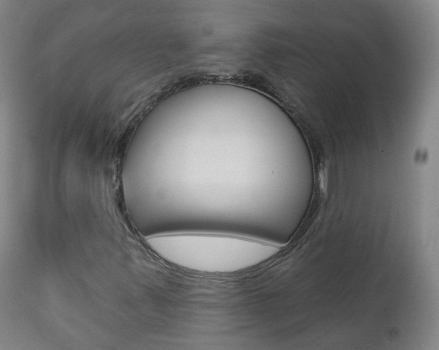 X0000111001347200906191133