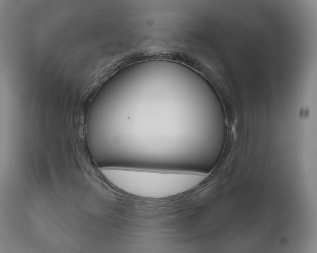X0000111001348200906191133