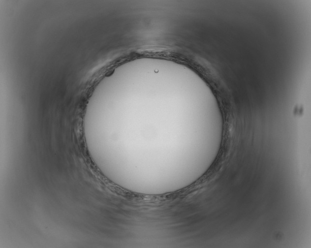X0000111001350200906191133