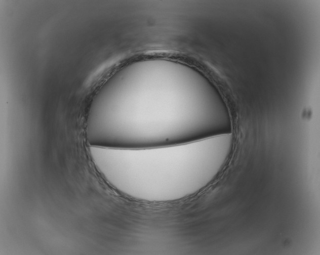 X0000111001351200906191133