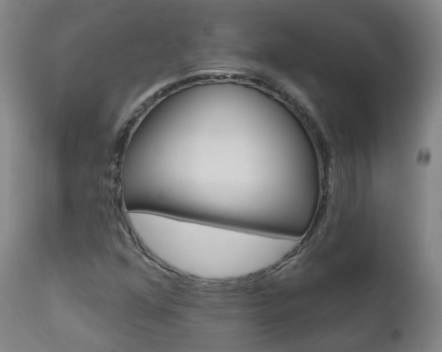 X0000111001352200906191133