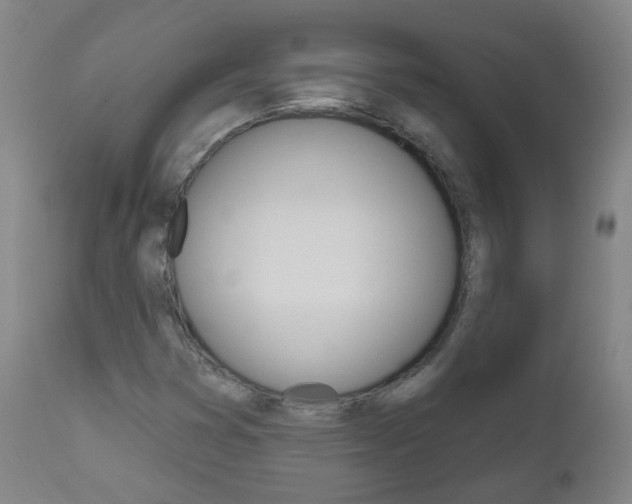 X0000111001353200906191133