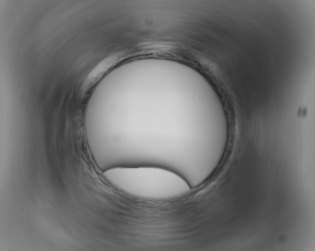 X0000111001354200906191133