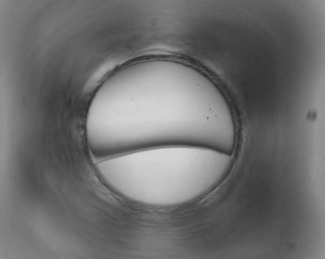 X0000111001355200906191133