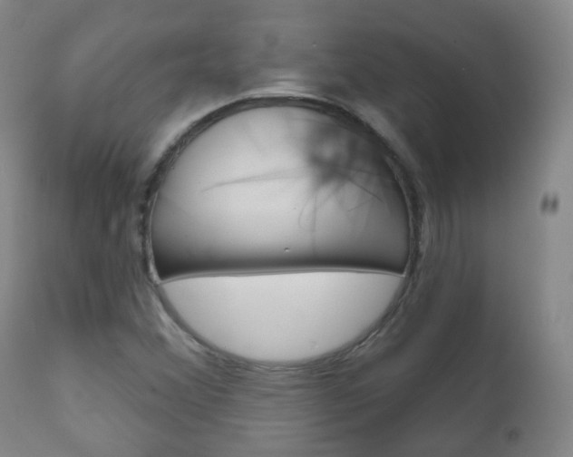 X0000111001356200906191133