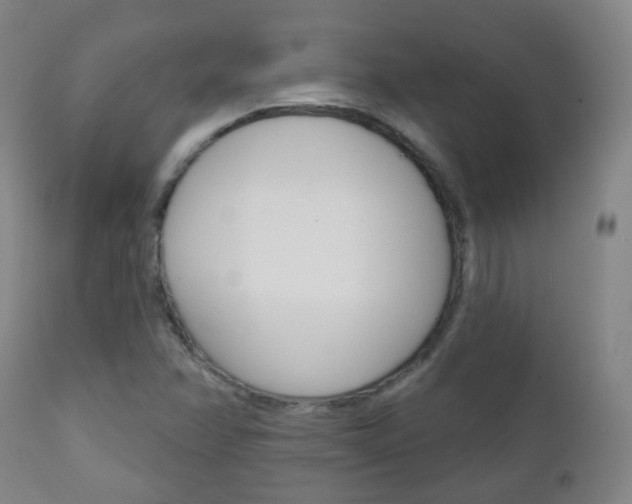 X0000111001358200906191133