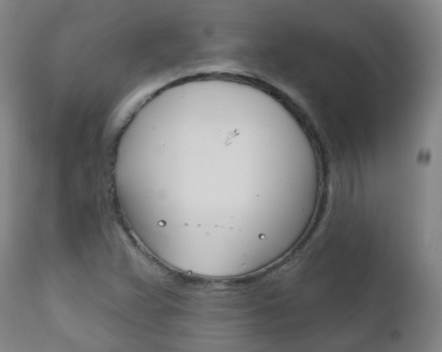 X0000111001359200906191133