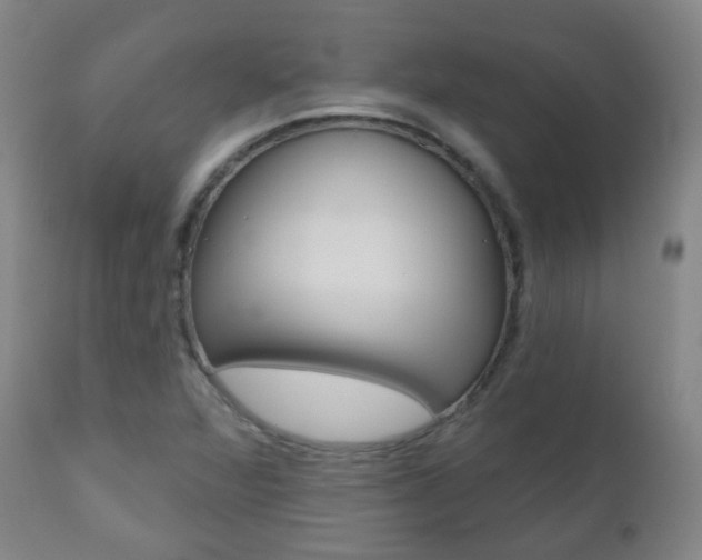 X0000111001360200906191133