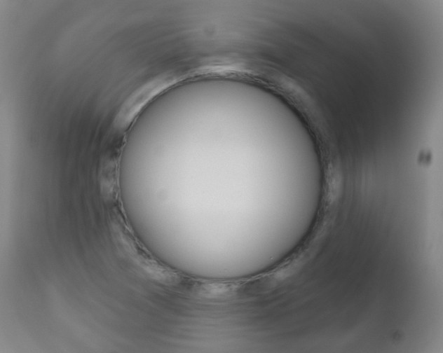 X0000111001361200906191133