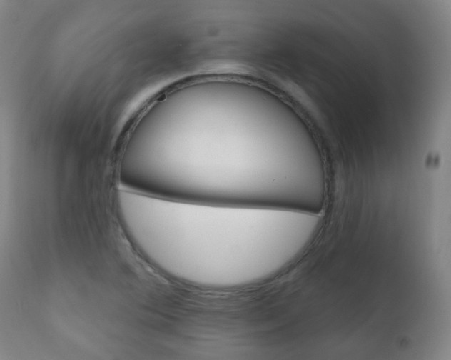 X0000111001364200906191133