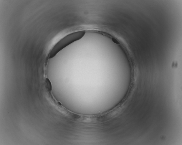 X0000111001365200906191133