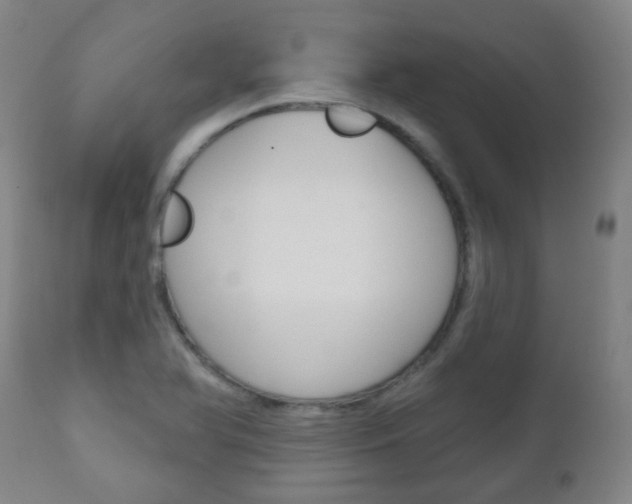 X0000111001366200906191133