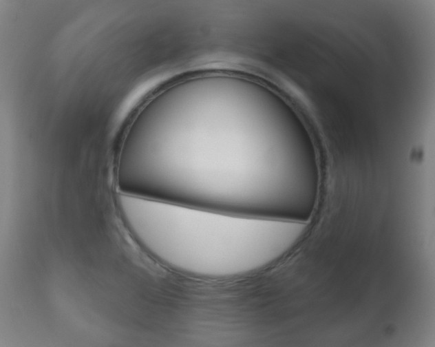 X0000111001368200906191133