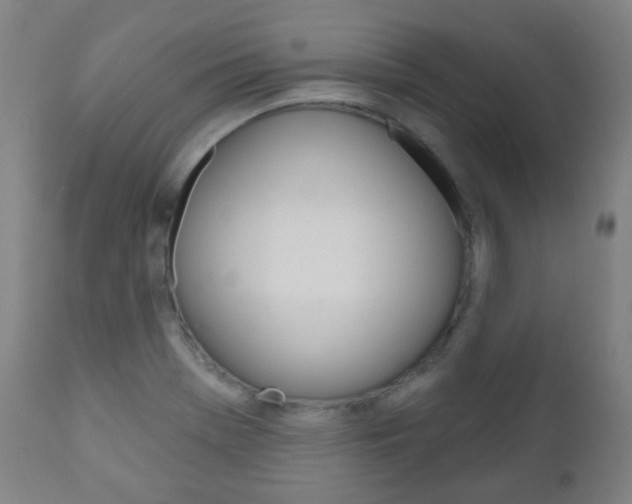 X0000111001369200906191133