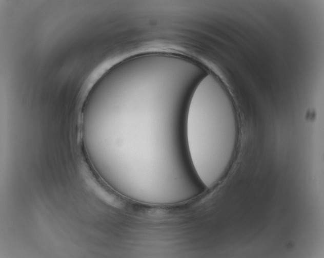 X0000111001371200906191133