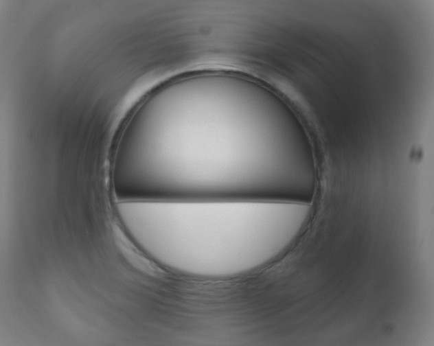 X0000111001372200906191133