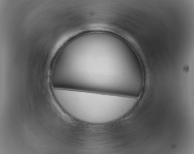 X0000111001376200906191133