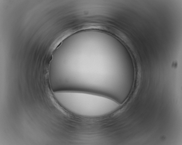 X0000111001377200906191133
